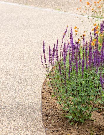 driveway landscaping picture with planting