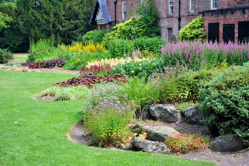 Perennials and Shrubs image