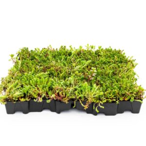 Mobilane - MobiRoof ECO - Packshot (5)