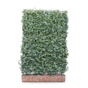 Mobilane_GreenScreen_Euonymus_DartsBlanket_Product Image