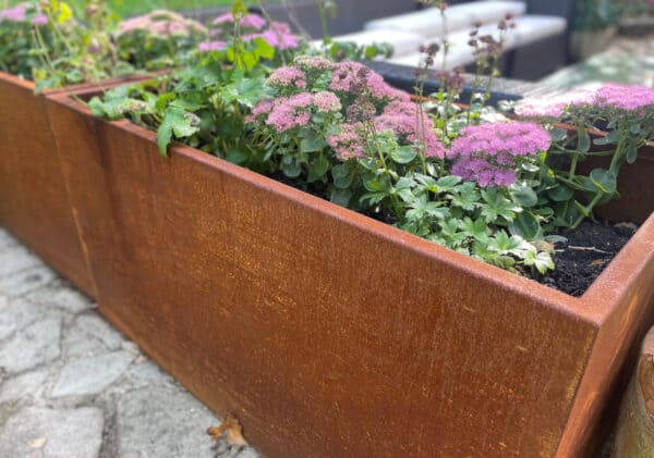 1190mm Planter and sedum